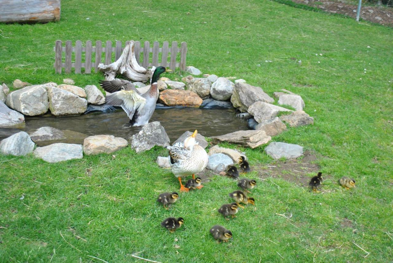 Apartment Zum Wasserfall *