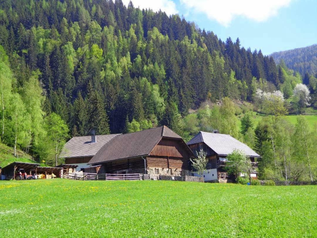 Zum Wasserfall Apartment Krakaudorf