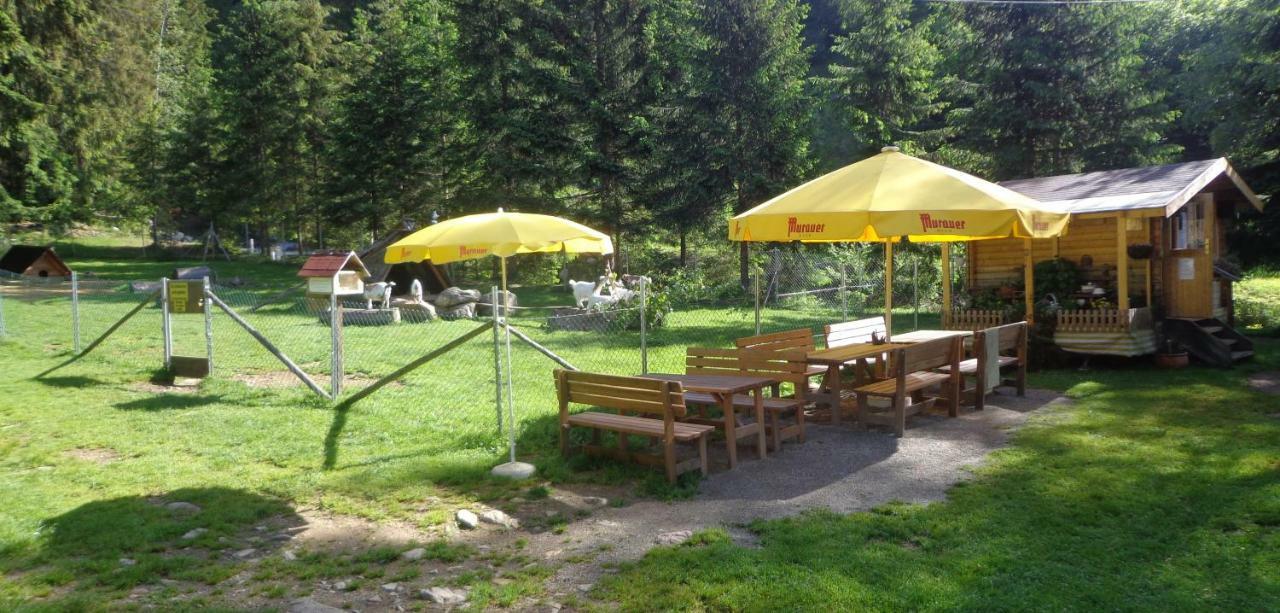 Zum Wasserfall * Krakaudorf