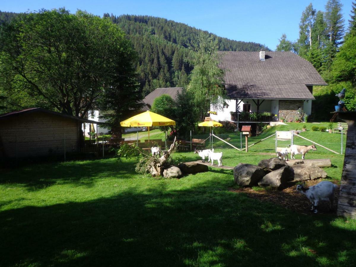 Zum Wasserfall Apartment